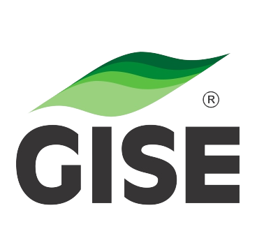 logo_gise_2020_oficial-removebg-preview